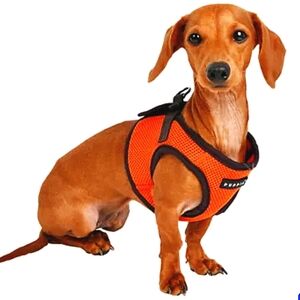 Puppia Soft Step-in Vest Harness for Dogs In Og Orange